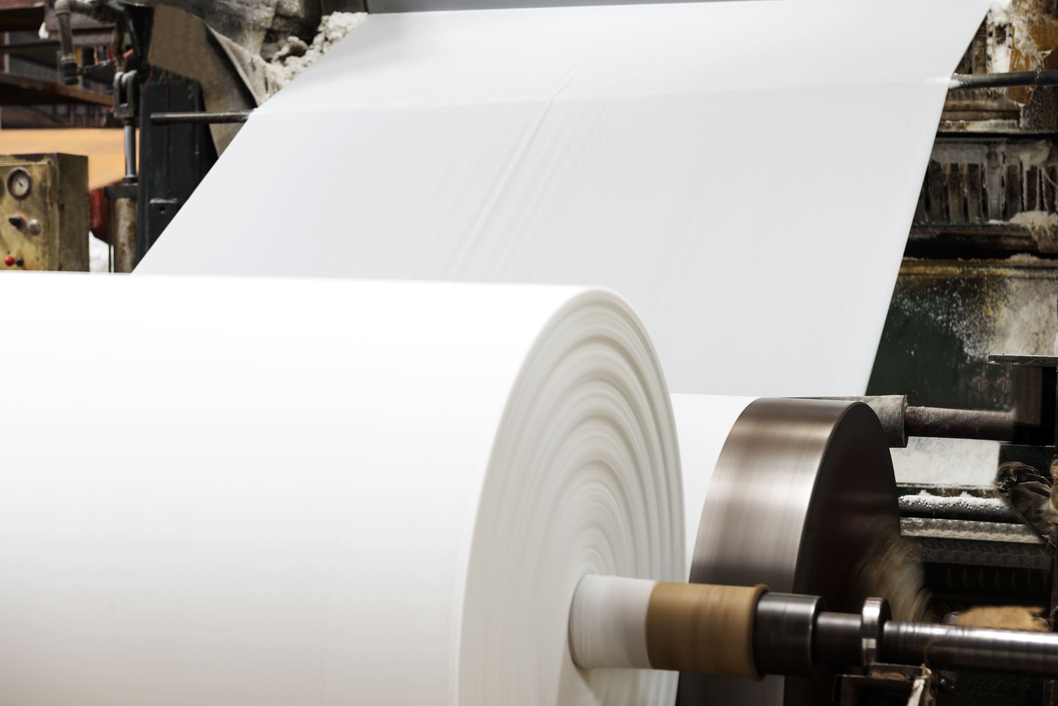 From Forest to Paper: The Journey of Sustainable Paper Production